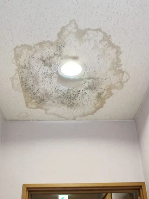 その雨漏り、放置は危険！栃木で雨漏りに困ったときの対処法と修理について
