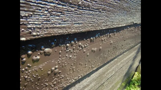 外壁塗装で手抜き工事に遭わないために!信頼できる業者の見分け方とは?