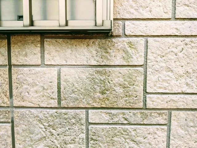 防カビ塗料で美観も性能もアップ！外壁塗装で差が出る理由とは？